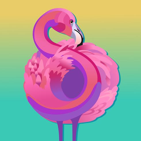 Rosa flamingo vektor illustration