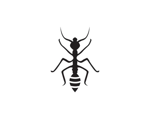 Ant Logo-Schablonenvektor-Illustrationsdesign vektor