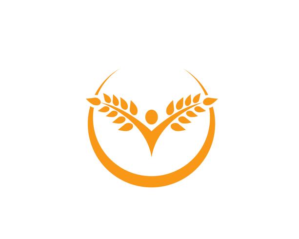 Landwirtschaftsweizen Logo Template, gesundes Lebenlogovektor-Ikonendesign vektor