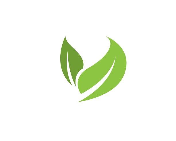 grünes Blatt Ökologie Natur Element Vektor Icon,