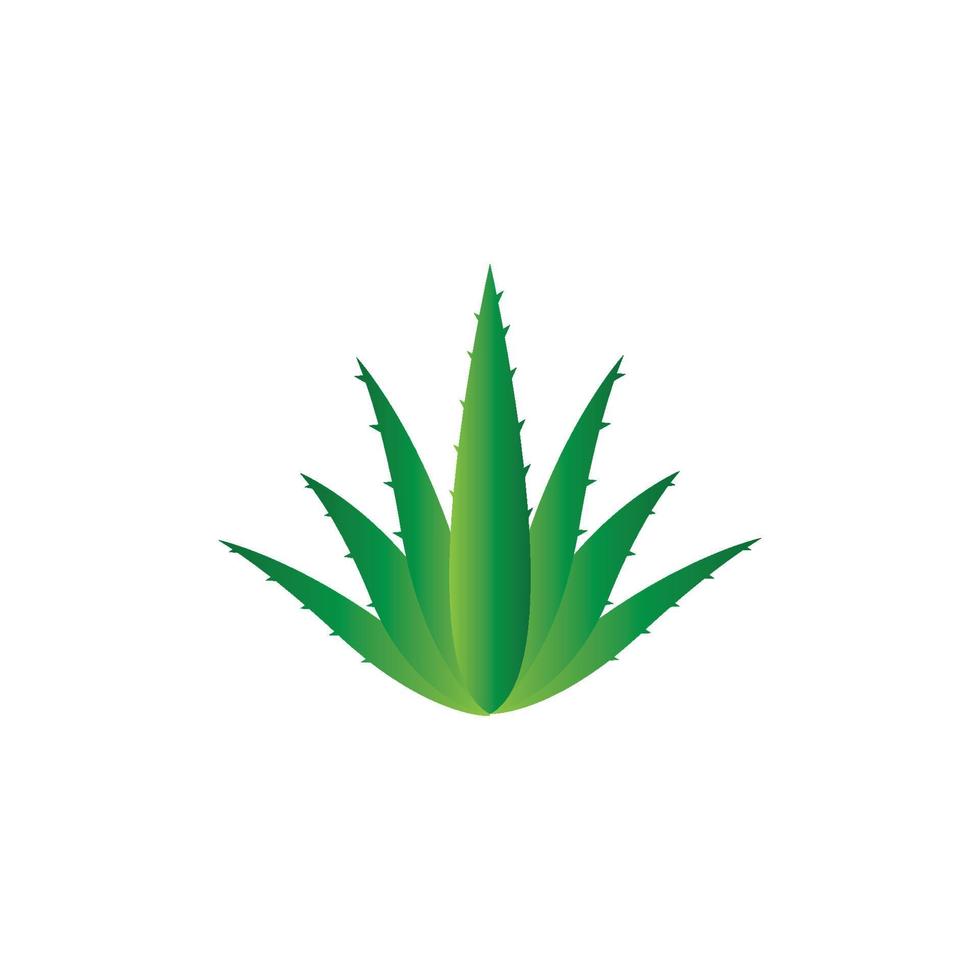 aloe vera logotyp vektor illustration mall