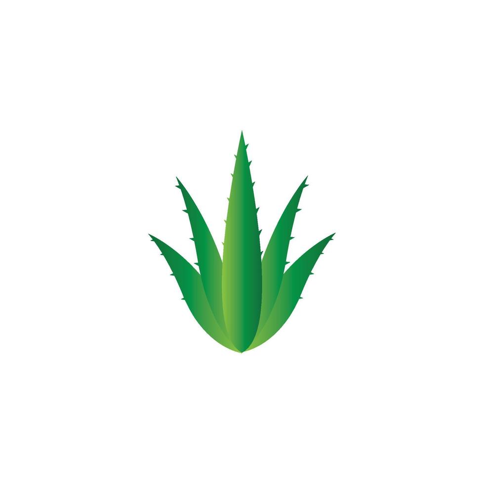 aloe vera logotyp vektor illustration mall