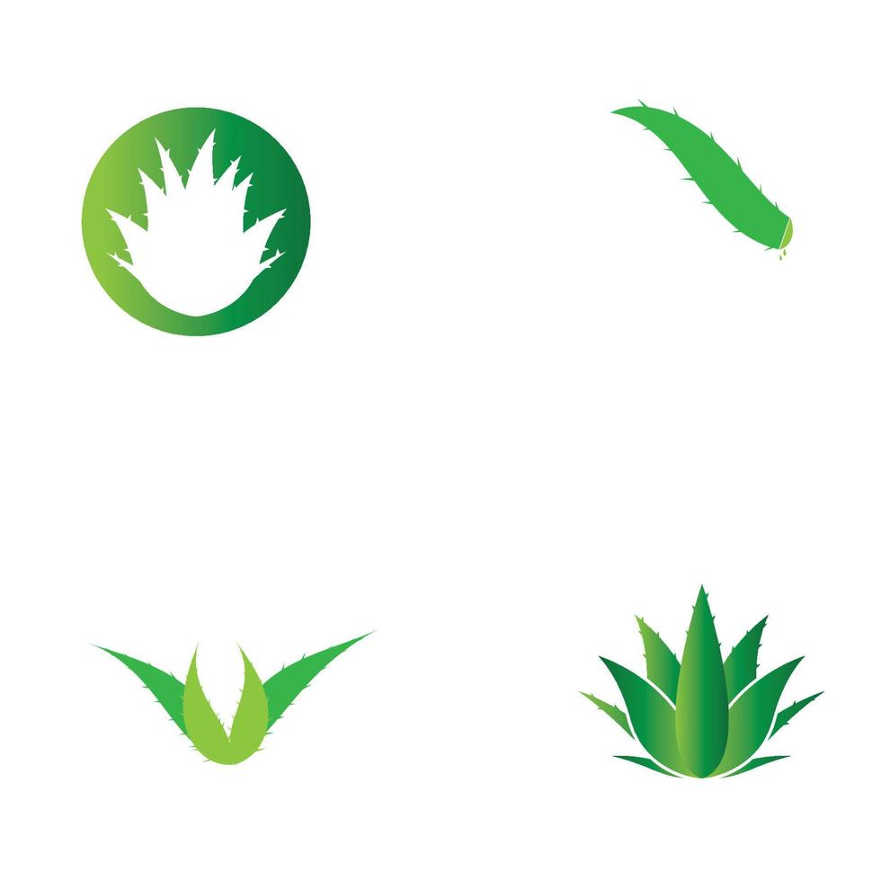 aloe vera logo vektorillustrationsvorlage vektor