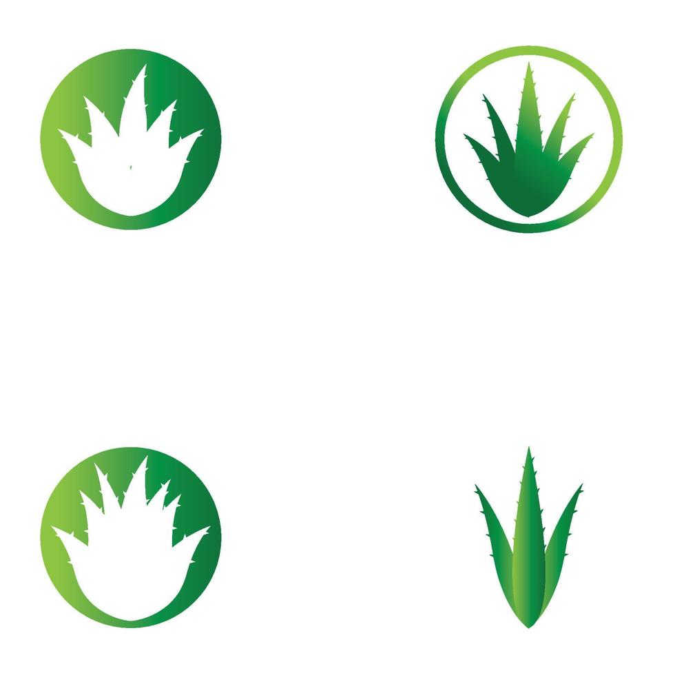 aloe vera logo vektorillustrationsvorlage vektor