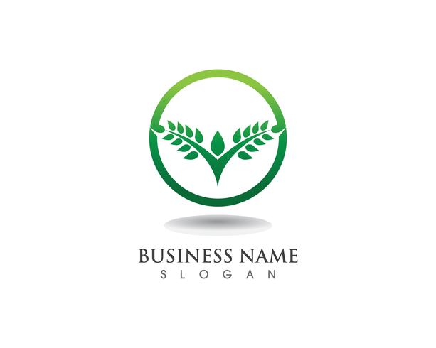 Personalausweisvektor-Logo templat der grünen Leute des Baums vektor