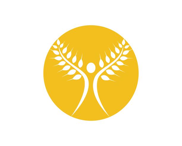 Landwirtschaftsweizen Logo Template-Vektorikonendesign vektor