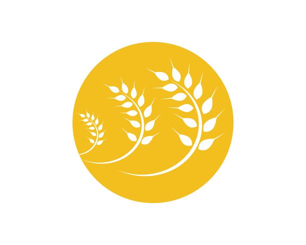 Jordbruk vete Logo Mall vektor ikon design