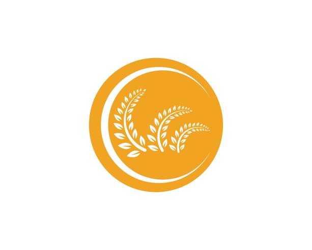 Jordbruk vete Logo Mall vektor ikon design app