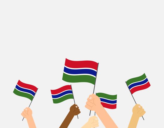 Vector die Illustrationshände, die Gambia-Flaggen lokalisiert auf grauem Hintergrund halten