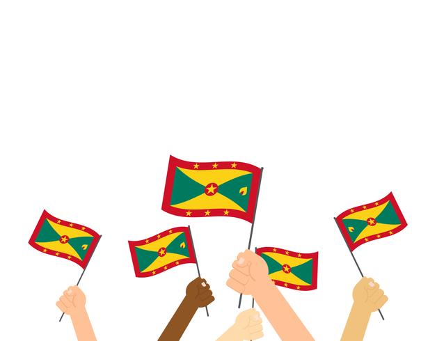 Hand, die Grenada-Flaggen lokalisiert auf weißem Hintergrund hält vektor