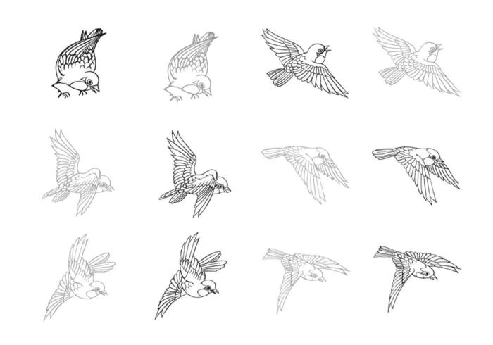 Handdragen Flying Bird Vector Pack