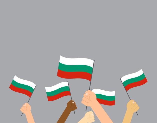 Hand som håller Bulgarien flaggor isolerade på grå bakgrund vektor