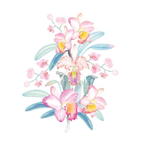 Malerei von Orchideen mit Aquarell vektor