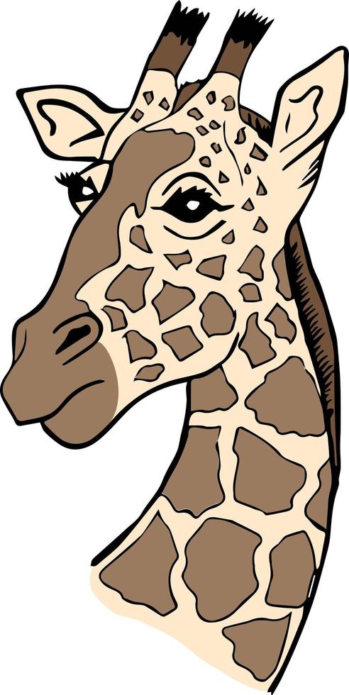 realistisk giraff i nakna nyanser vektor