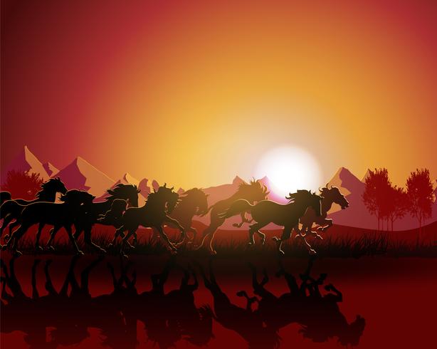 Pferdeschattenbild auf Sonnenunterganghintergrund. vektor