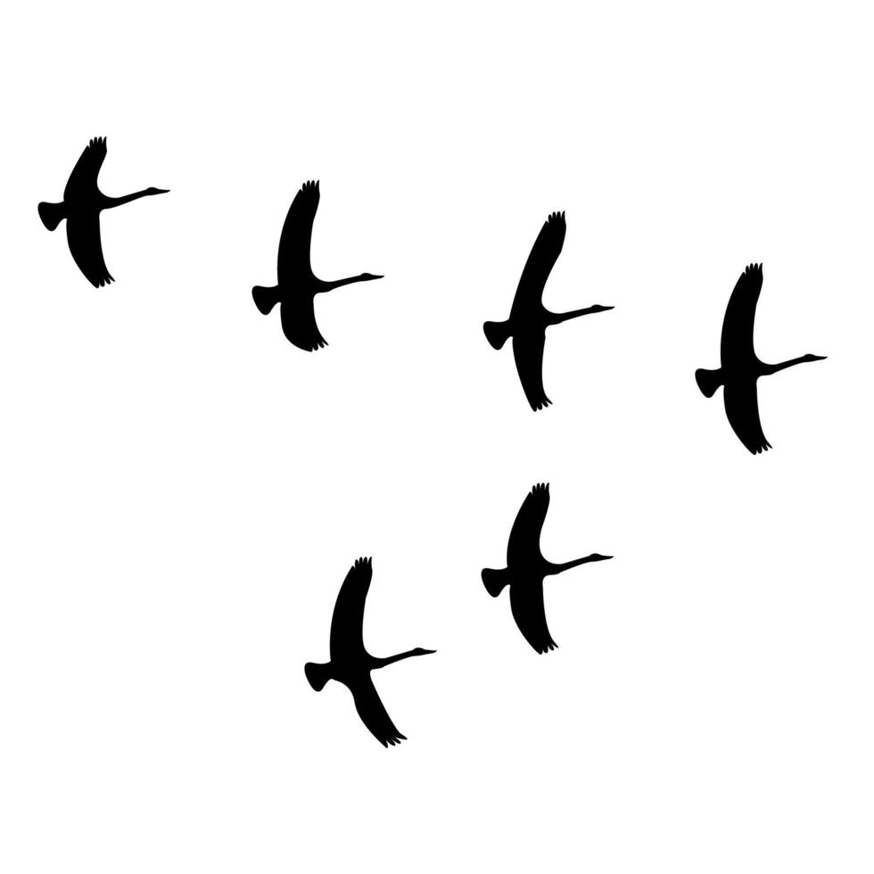 flock fåglar som flyger i en kil vektor