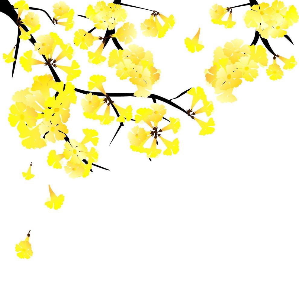 gelber Blumenbaum, goldene Trompetenblume vektor