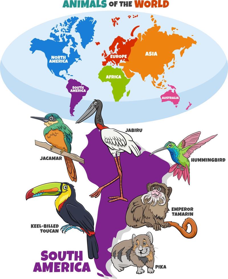pedagogisk illustration med tecknade sydamerikanska djur vektor