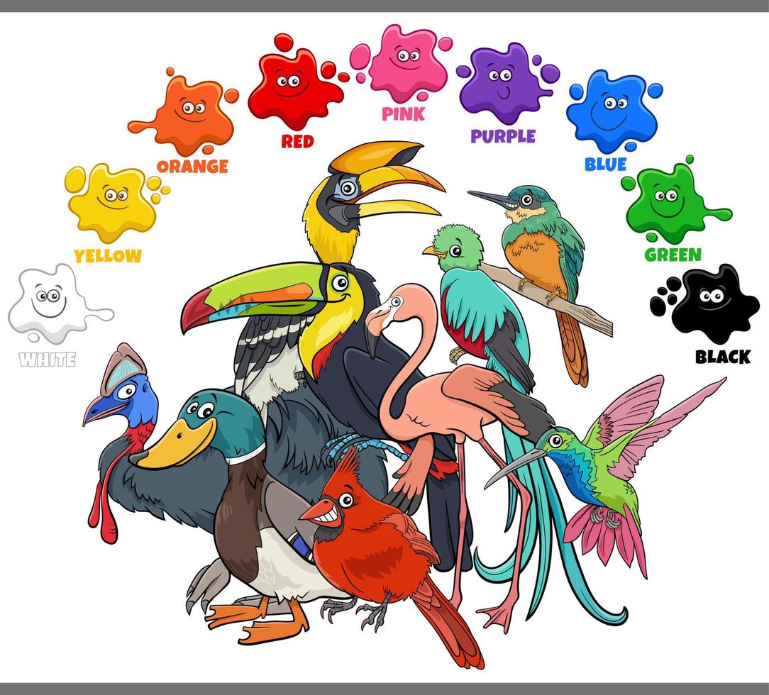 Grundfarben für Kinder mit einer Gruppe bunter Vögel vektor