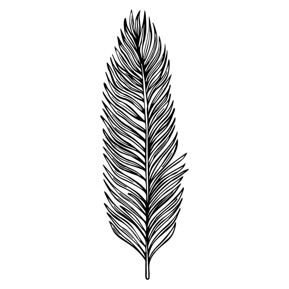 palmblattskizze isoliert. retro-element tropische pflanzen im handgezeichneten stil. vektor