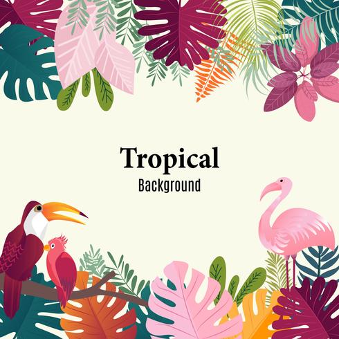 Sommar tropisk banner palm lämnar fåglar vektor bild.