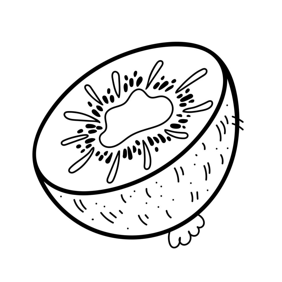 Kiwi handgezeichnete Liniensymbol im Doodle-Stil isoliert auf weißem Hintergrund. design für menü, küche, malbuch. vektor