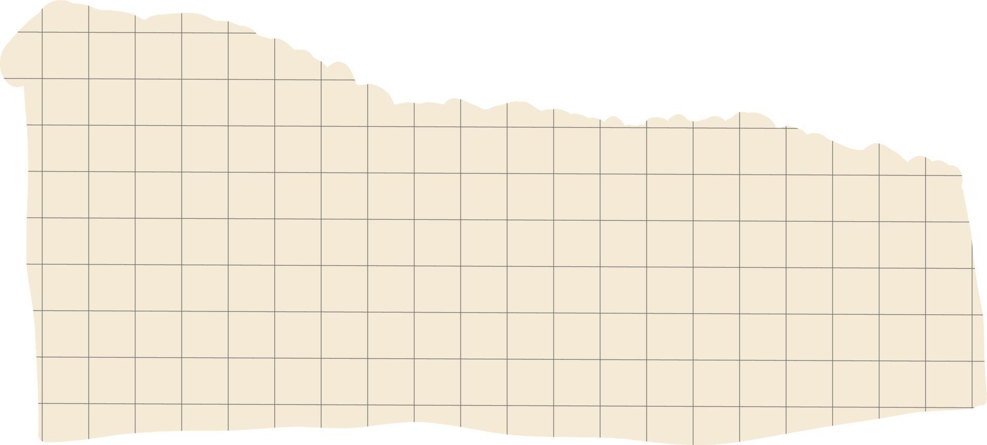 rutigt pappersark med rivna kanter vektor