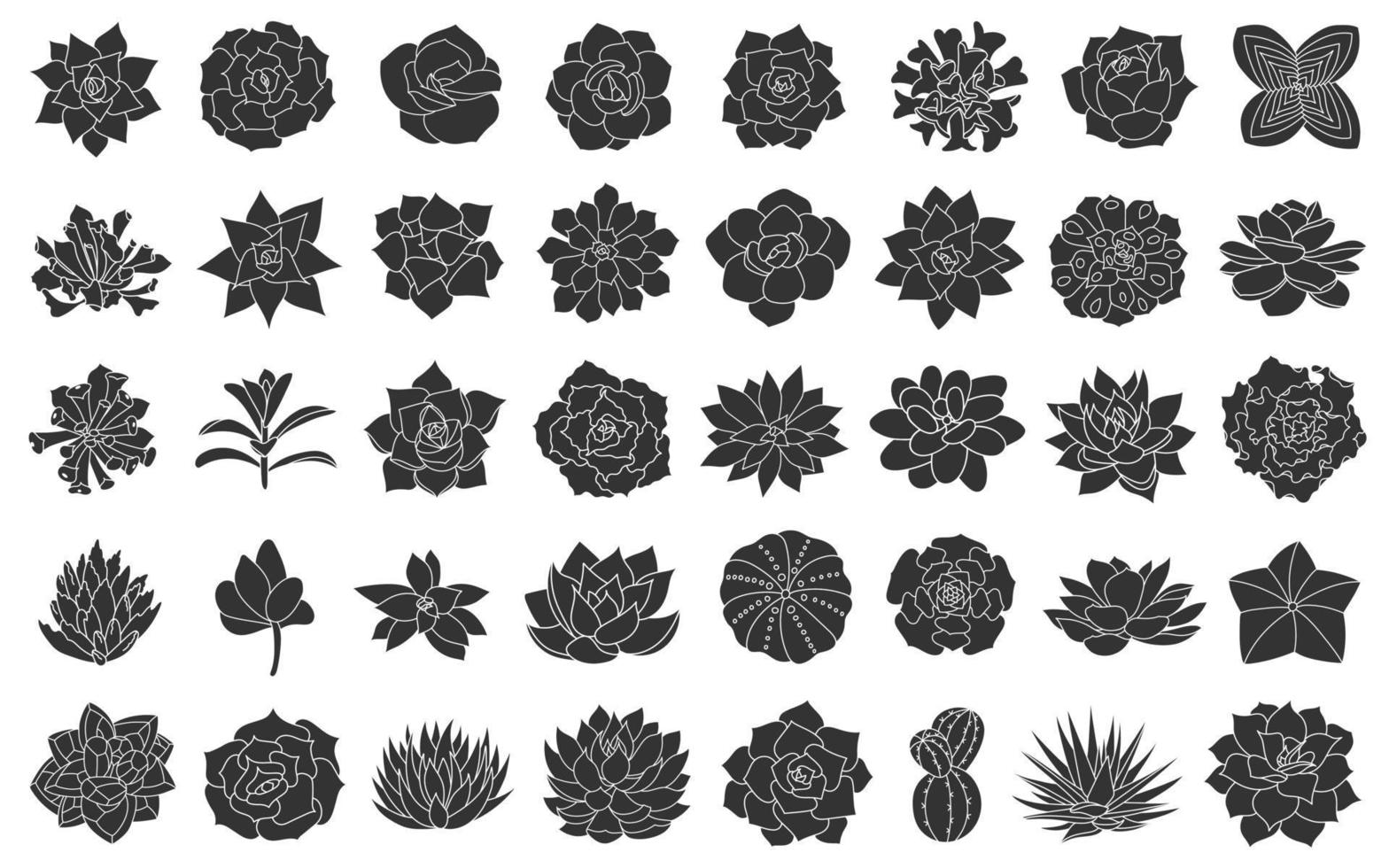 sukkulente pflanzenvektorillustration, eingestellt von der silhouette echeveria. Wüstenblumenhand gezeichnet auf weißen Hintergrund. grafikdesign im einfachen stil, schwarze sukkulenten, kaktus, agave, aloe, echeveria. vektor