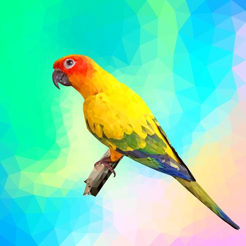 färgglad papegoja med polygonstil vektor