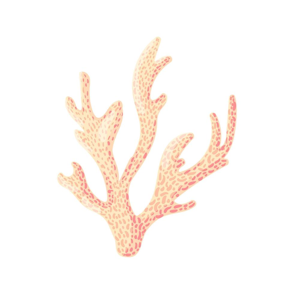 koralle, polypenvektor unterwasserpflanze. Aquarium, Ozean und Unterwasserwelt isoliert auf weißem Hintergrund. Aquarienfauna und Meeresrifflebensraum in einem einfachen Cartoon-Stil. vektor