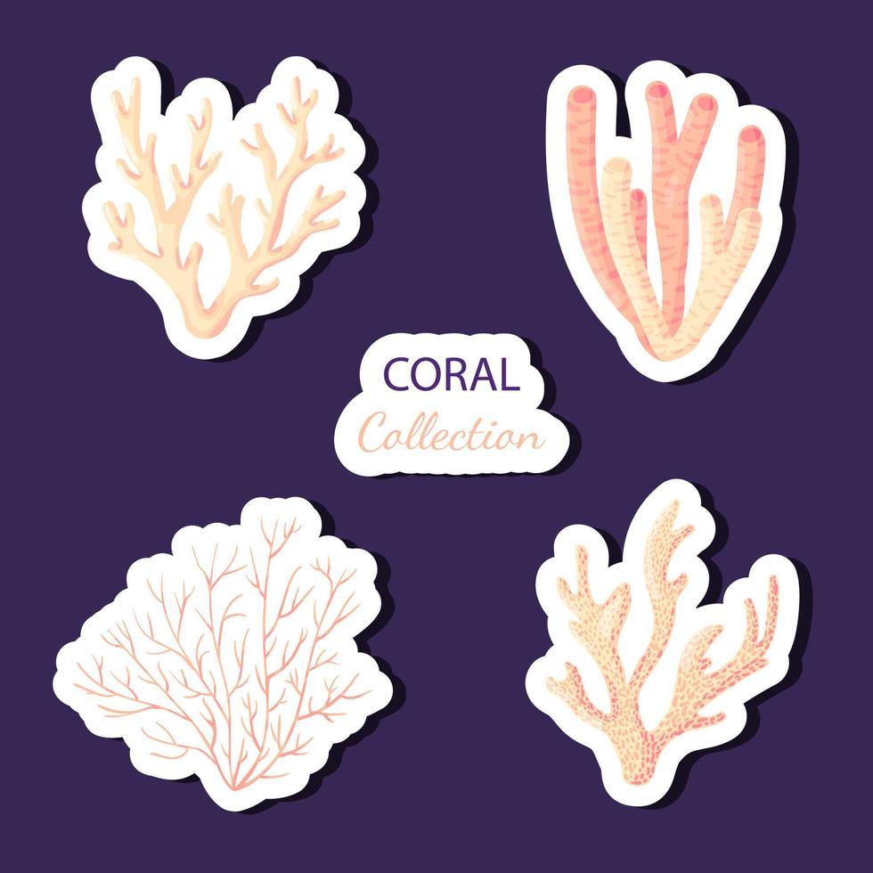 koraller, polyper vektor undervattensväxter. akvarium, hav och undervattensliv isolerad på vit bakgrund. akvariefauna och havsrevs livsmiljöer i en enkel tecknad stil. klistermärke samling.