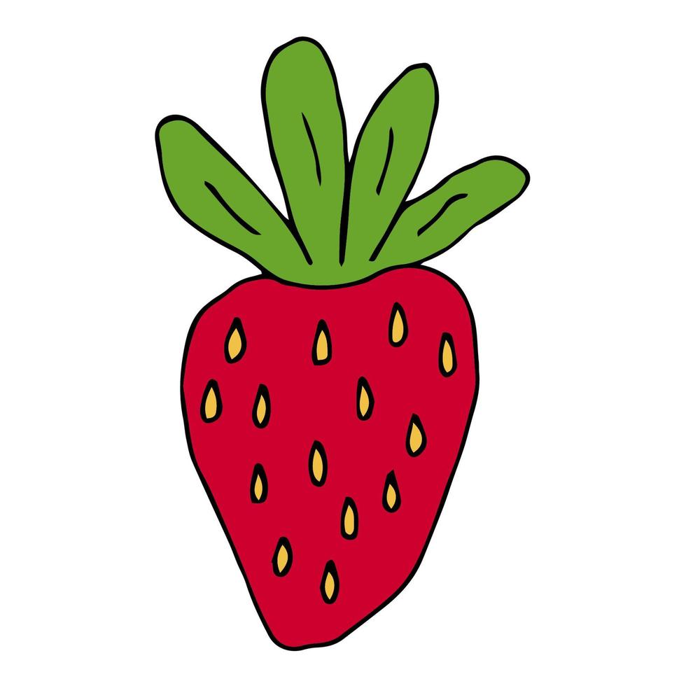 tecknad doodle jordgubbe isolerad på vit bakgrund. handritad sommar frukt ikon. bär. vektor