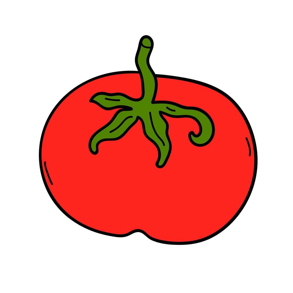 lineare tomate des karikaturgekritzels lokalisiert auf weißem hintergrund. vektor