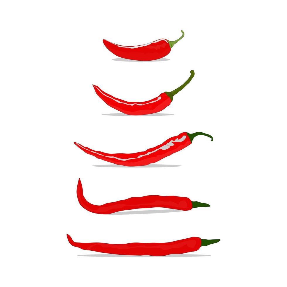 süße rote Chili-Illustration vektor