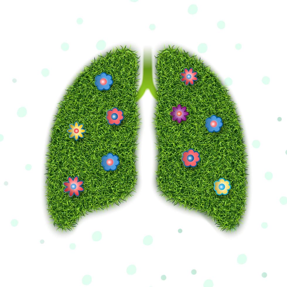 gesunde Lunge - symbolisches Bild mit Grasstruktur und Blumen auf weißem Hintergrund. Vektorgrafiken. vektor