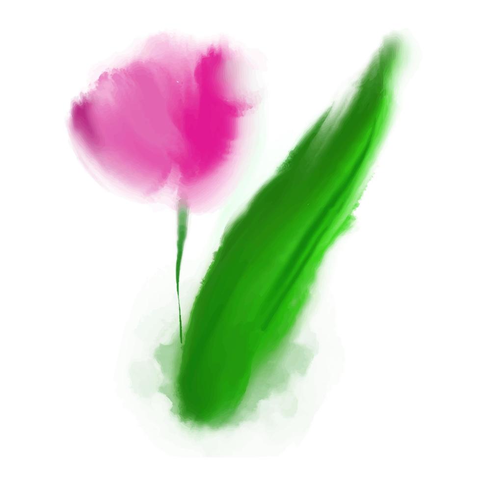 Vektor-Illustration Rosa Tulpe im Aquarell-Stil auf weiß vektor