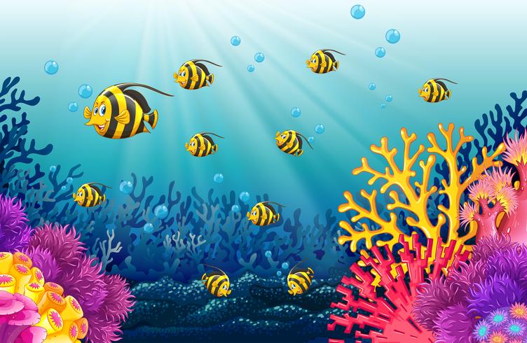 Massor av fiskar under havet vektor