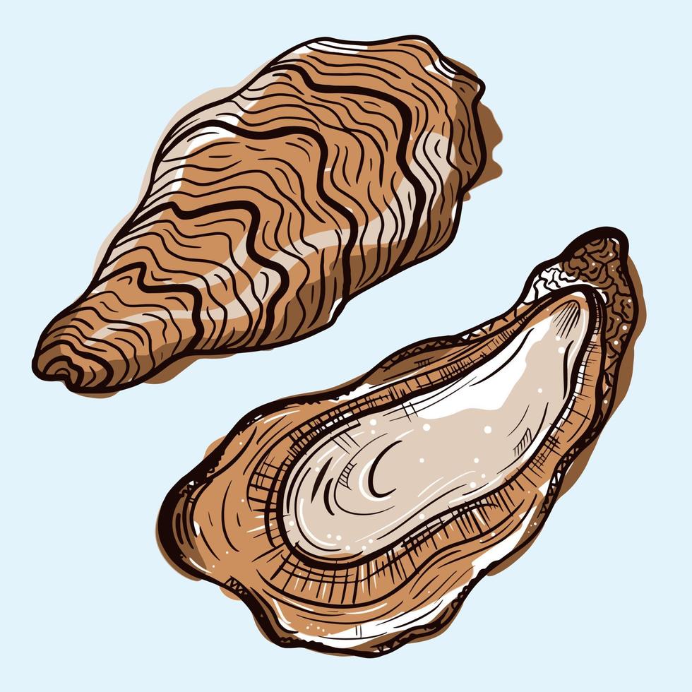 ostron vektor ikon. isolerad illustration av ett öppet och stängt ostron. en skaldjursdelikatess. färgad skiss av mat. färsk havsmussla i skalet. handritade marina djur. tvåskaliga blötdjur.