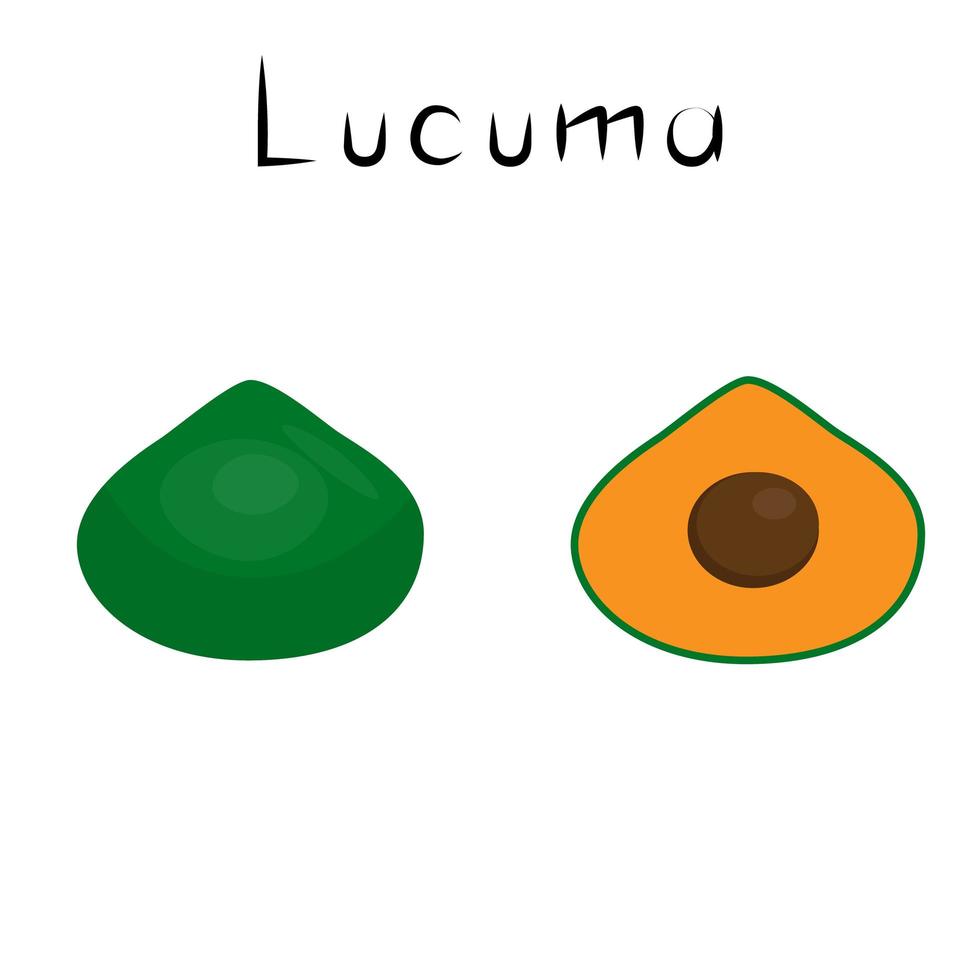 Lucuma-Frucht. Gesundes Detox-Naturprodukt. biok Nahrungsergänzungsmittel Frucht. Superfood, Beere für die Homöopathie. Cartoon-Vektor-Illustration vektor