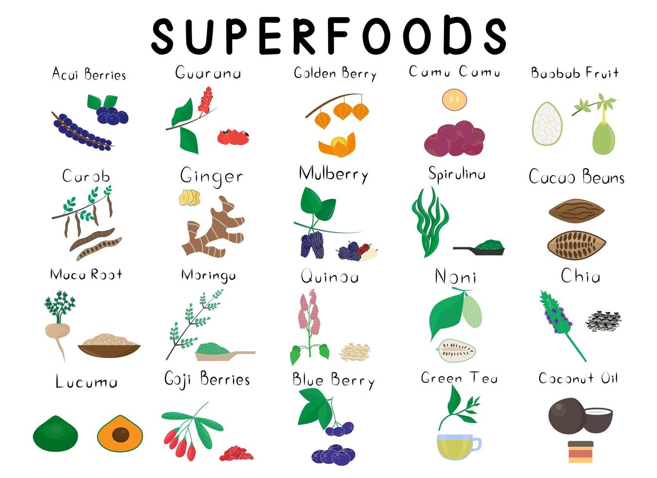 stort set med 20 olika superfoods. hälsosam detox naturlig produkt. organik kosttillskott frukt. grönsaker, frön, frukt, bär för homeopati. tecknad illustration vektor