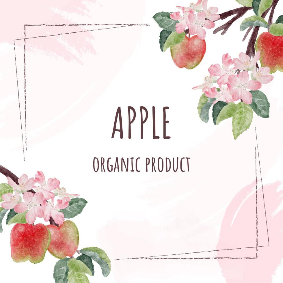 aquarellapfelblumen- und fruchtrahmen für banner mit kopienraum für text vektor