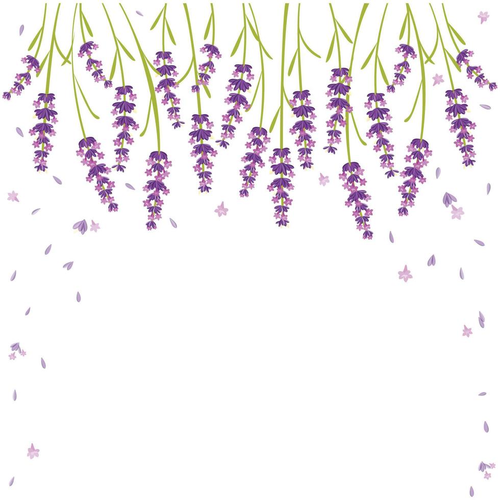 vektor lavendel lila blomma, slappna av och fred