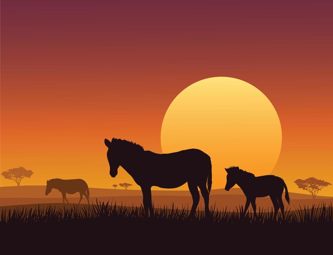 ein Zebra oder ein Pferd in der Savanne bei Sonnenuntergang vektor