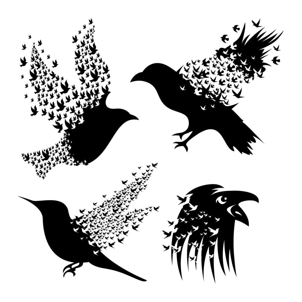 Silhouette der Vogelvektorillustration vektor