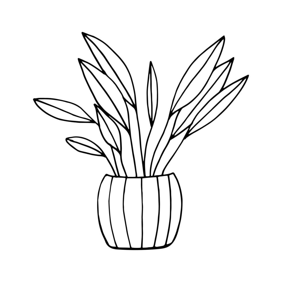 krukväxt i en kruka ikon handritad. , minimalism, skandinavisk, monokrom, nordisk. klistermärke, spathiphyllum, växt, blomma. vektor