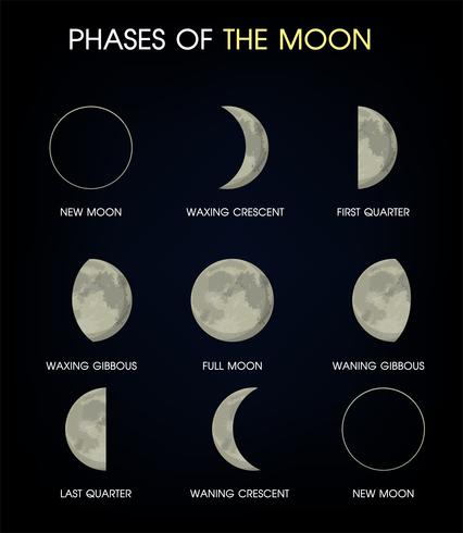 Die Mondphasen vektor