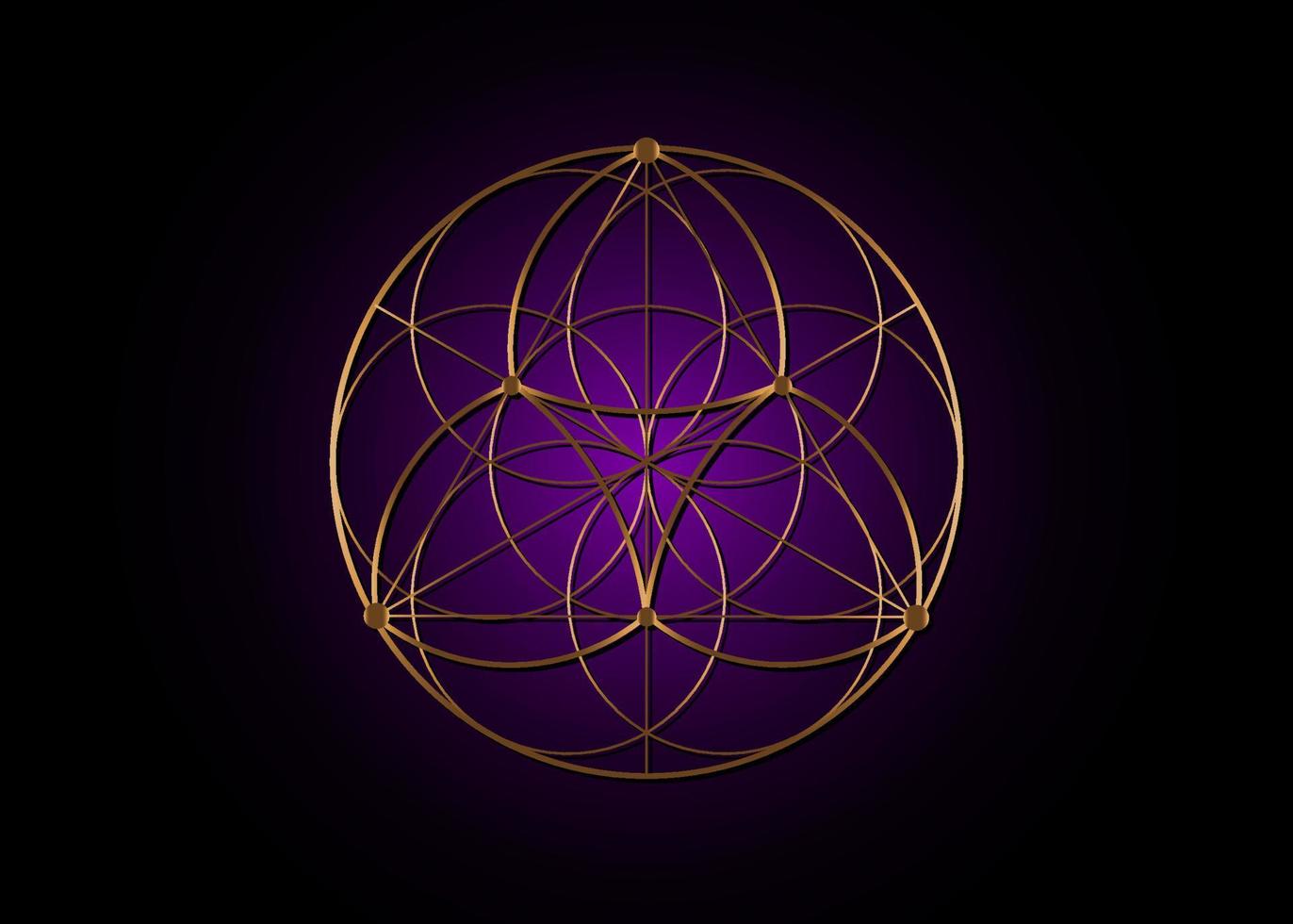 Samenblume des Lebens Lotus-Symbol, heilige Geometrie des Yantra-Mandala, goldenes Symbol für Harmonie und Gleichgewicht. mystischer Talisman der lila Farbe, Goldlinienvektor lokalisiert auf schwarzem Hintergrund vektor