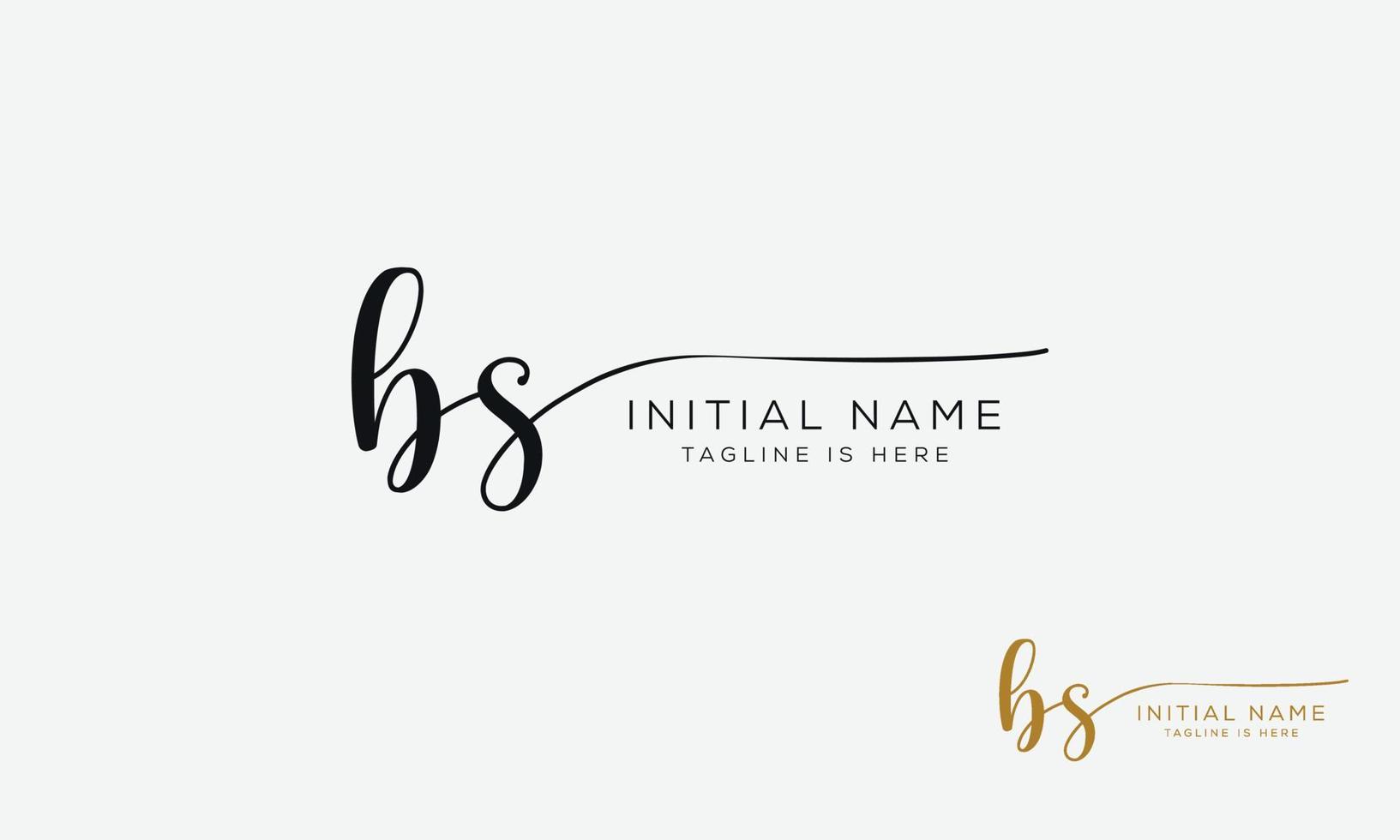 bs sb initial signatur logotyp mall. vektor
