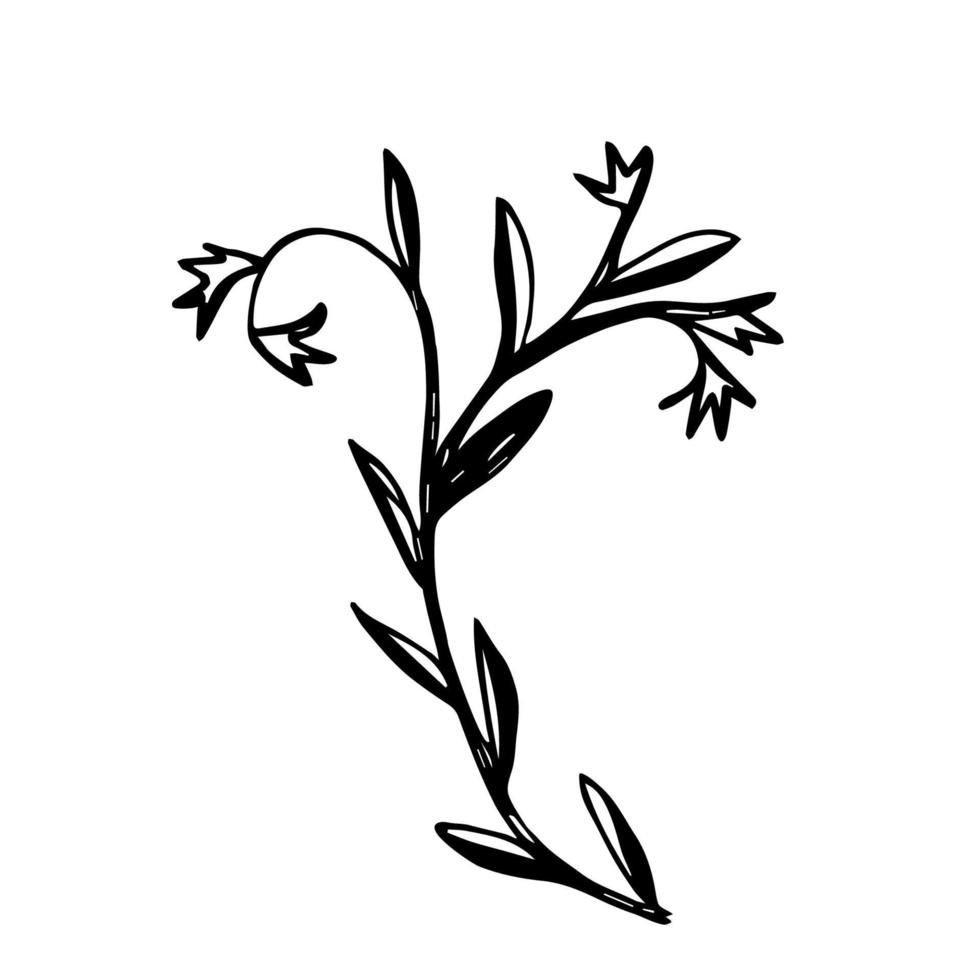 einfache schwarze Umrissvektorzeichnung. Blumen, Zweig, Glocken. Natur. um florale Ornamente herzustellen. vektor