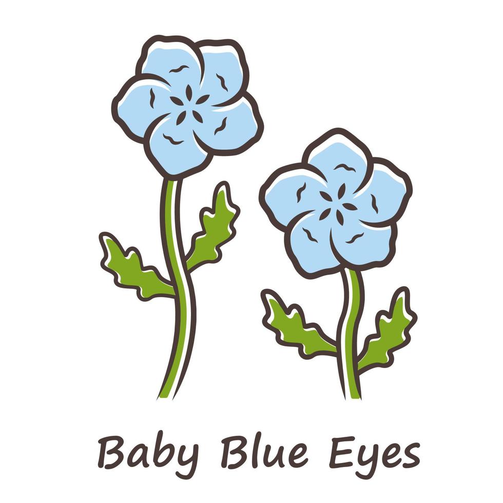 Farbsymbol für babyblaue Augen. Leinen blühende Blume mit Namensaufschrift. nemophila menziesii Gartenpflanze. blauer flachsblütenstand. Wildblumen blühen. isolierte vektorillustration vektor